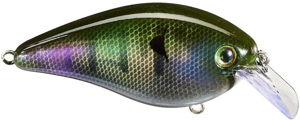 Strike King KVD Elite 8.0 Squarebill Crankbait - 4.5 Inch