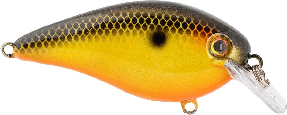 Strike King KVD Elite 2.5 Squarebill Crankbait - 2.75 Inch