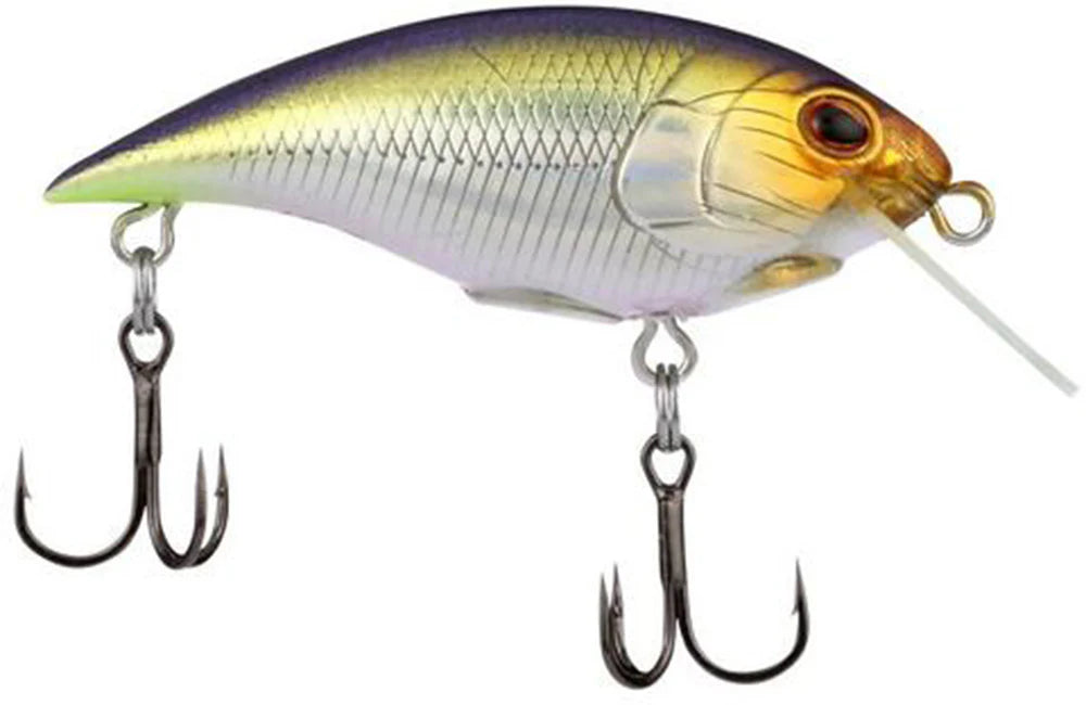 Berkley Shallow Money Badger Crankbait - 2.75 Inch