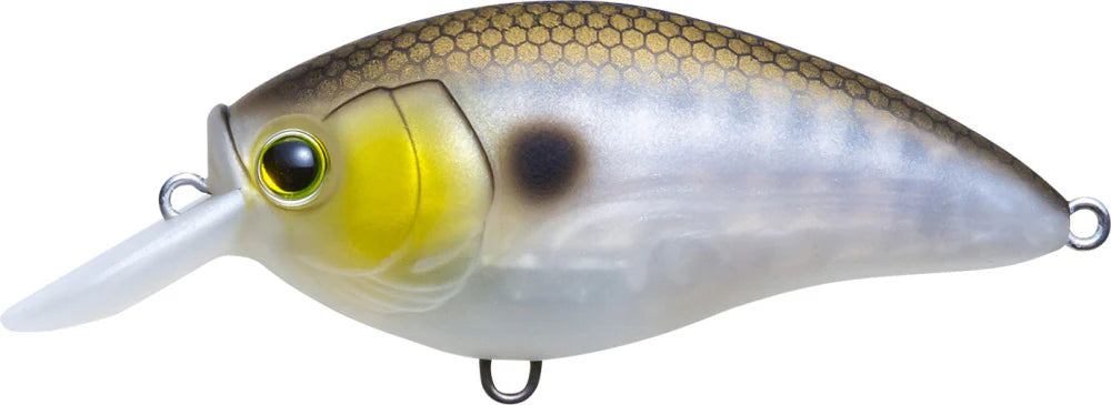 Yo-Zuri 3DR-X Shallow Runner SR Crankbait 50mm - 2 Inch