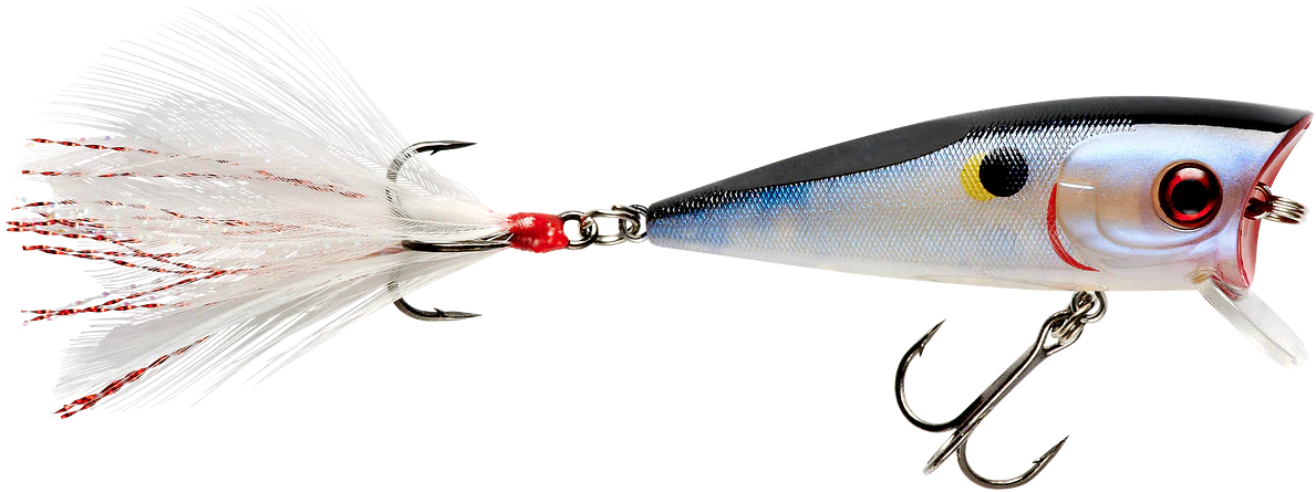 Booyah Prank 2 1/2 inch Topwater Popper