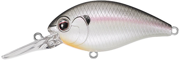 Evergreen International CR-8 Medium Diving Crankbait