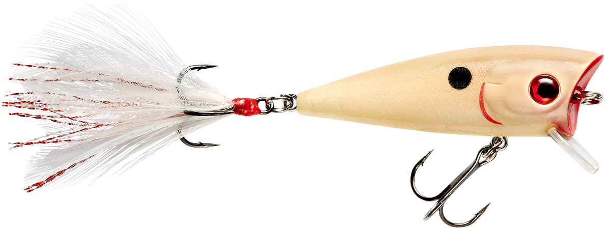 Booyah Prank 2 1/2 inch Topwater Popper