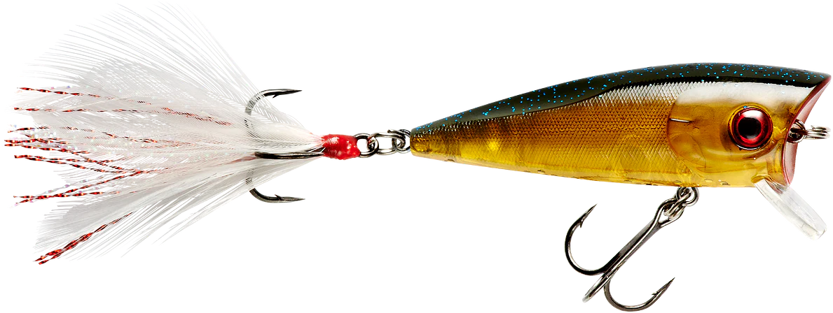 Booyah Prank 2 1/2 inch Topwater Popper