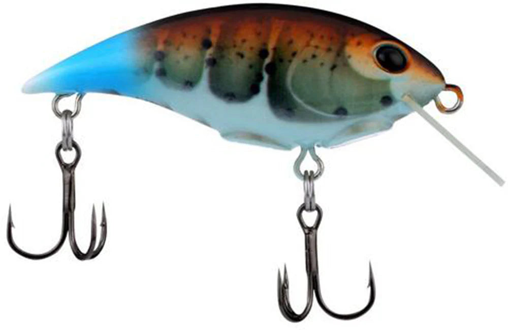 Berkley Shallow Money Badger Crankbait - 2.5 Inch