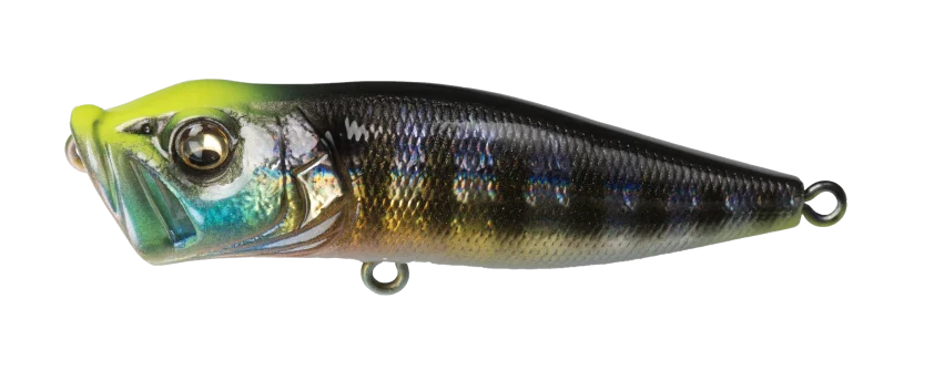 Megabass Pop-X Topwater Popper