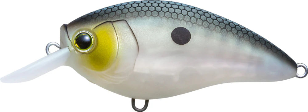 Yo-Zuri 3DR-X Shallow Runner SR Crankbait 50mm - 2 Inch