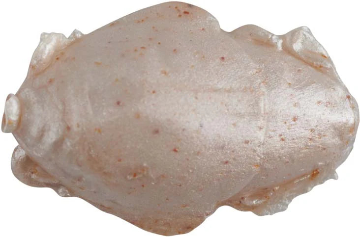 Berkley Gulp! 1 inch Sand Crab Flea 12 pack