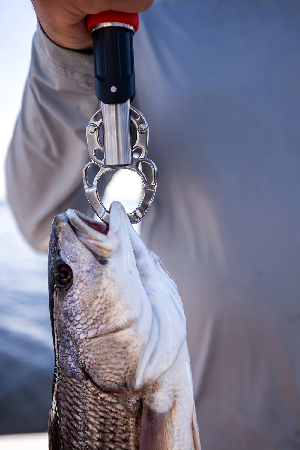 Bubba Fish Lip Grabber & Scale Combo - 20LB Rating