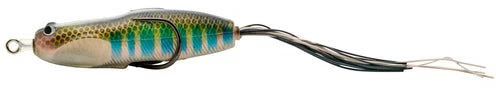 Nories Hoshokuon 76 Hollow Body Frog