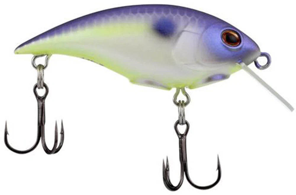 Berkley Shallow Money Badger Crankbait - 2.5 Inch