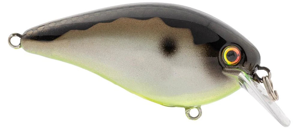 Strike King KVD Elite 2.5 Squarebill Crankbait - 2.75 Inch