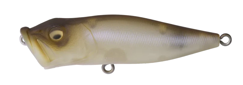 Megabass Pop-X Topwater Popper