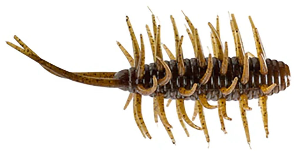 HIDEUP Coike Medium Shrimp - 3 Inch