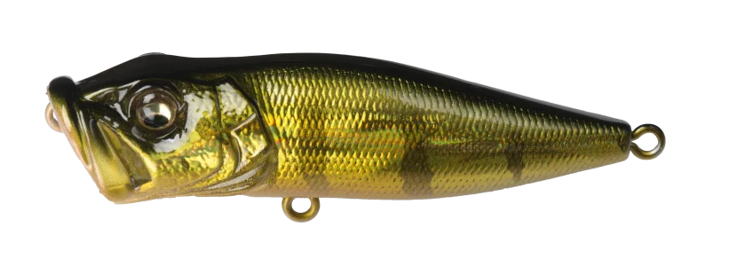 Megabass Pop-X Topwater Popper