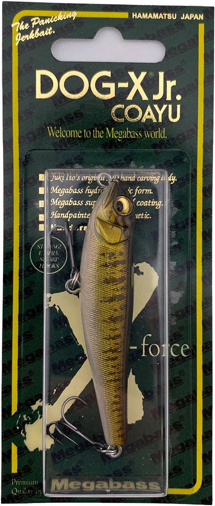 Megabass Dog-X JR Coayu (BFS)