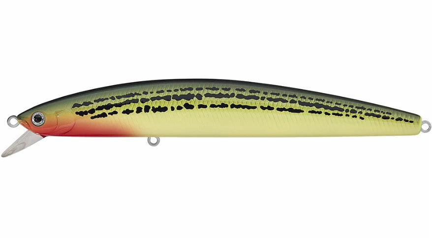 Daiwa Salt Pro Minnow 5 1/8 inch Floating Rip Bait